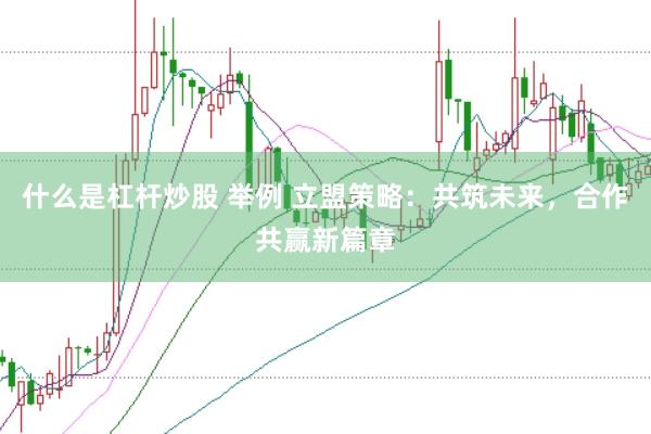 什么是杠杆炒股 举例 立盟策略：共筑未来，合作共赢新篇章