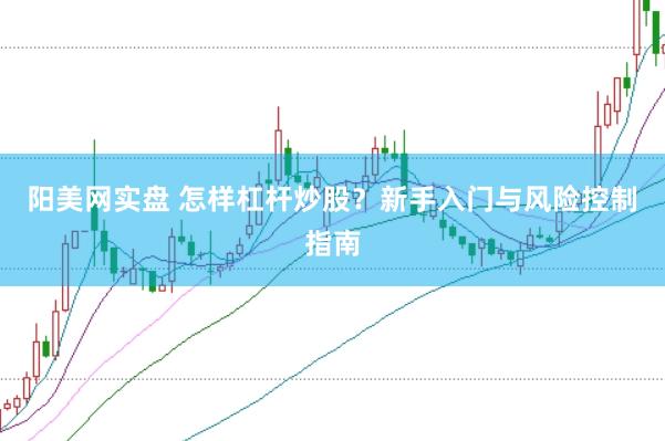 阳美网实盘 怎样杠杆炒股？新手入门与风险控制指南