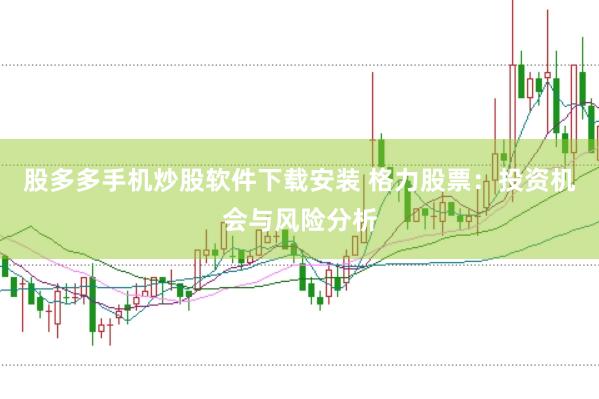 股多多手机炒股软件下载安装 格力股票：投资机会与风险分析