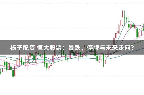杨子配资 恒大股票：暴跌、停牌与未来走向？