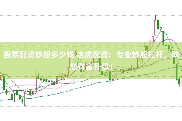 股票配资炒股多少钱 老虎配资：专业炒股杠杆，助您财富升级！