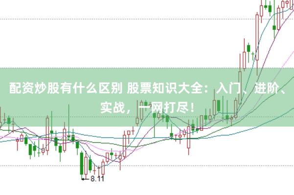 配资炒股有什么区别 股票知识大全：入门、进阶、实战，一网打尽！