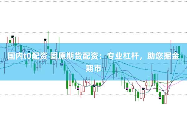 国内t0配资 固原期货配资：专业杠杆，助您掘金期市