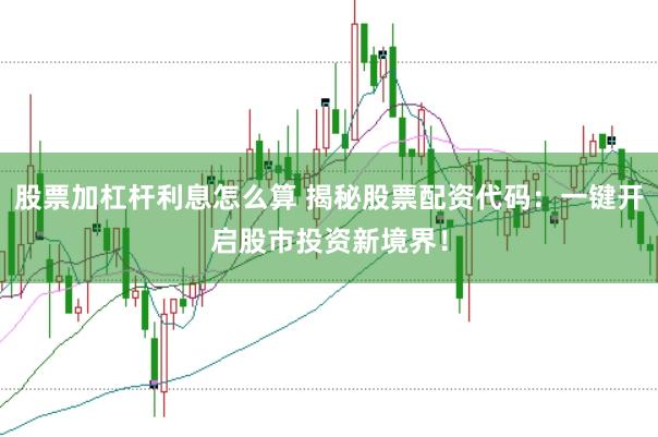 股票加杠杆利息怎么算 揭秘股票配资代码：一键开启股市投资新境界！