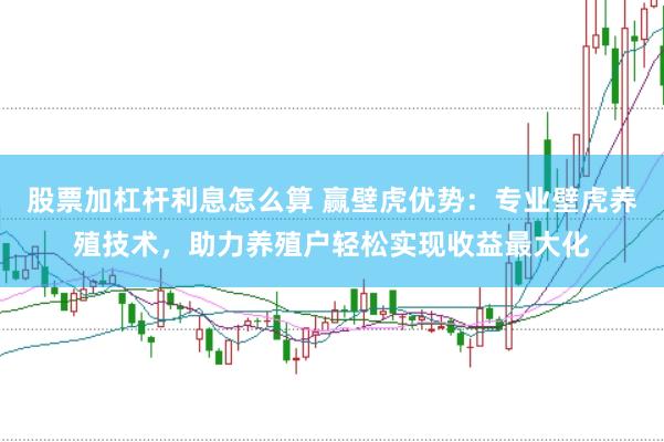 股票加杠杆利息怎么算 赢壁虎优势：专业壁虎养殖技术，助力养殖户轻松实现收益最大化