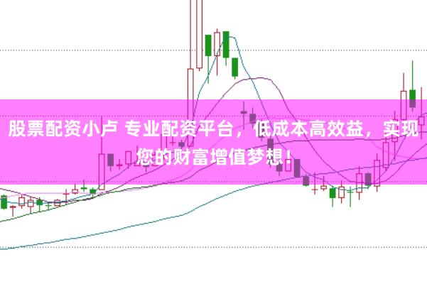 股票配资小卢 专业配资平台，低成本高效益，实现您的财富增值梦想！