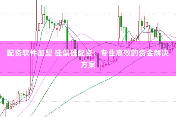 配资软件加盟 硅藻雄配资：专业高效的资金解决方案