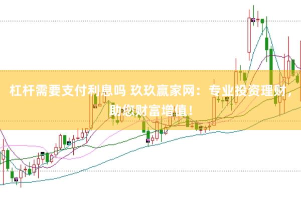 杠杆需要支付利息吗 玖玖赢家网：专业投资理财，助您财富增值！
