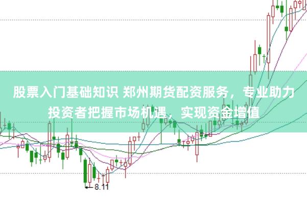 股票入门基础知识 郑州期货配资服务，专业助力投资者把握市场机遇，实现资金增值