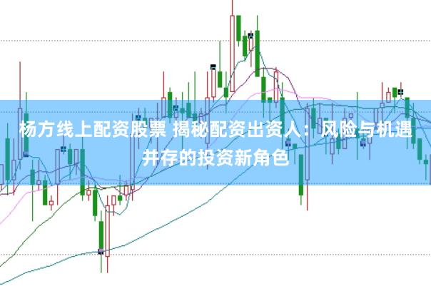 杨方线上配资股票 揭秘配资出资人：风险与机遇并存的投资新角色