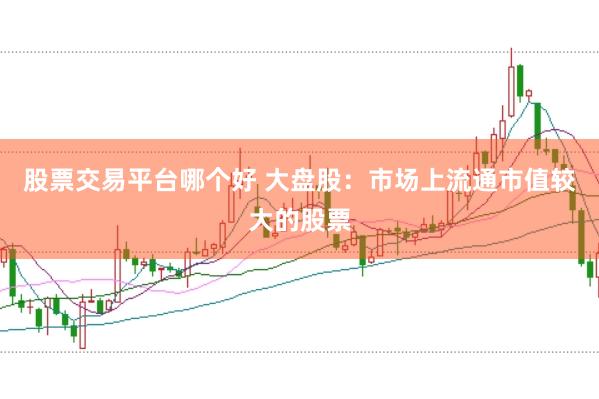 股票交易平台哪个好 大盘股：市场上流通市值较大的股票