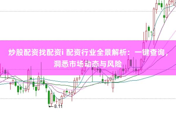 炒股配资找配资i 配资行业全景解析：一键查询，洞悉市场动态与风险