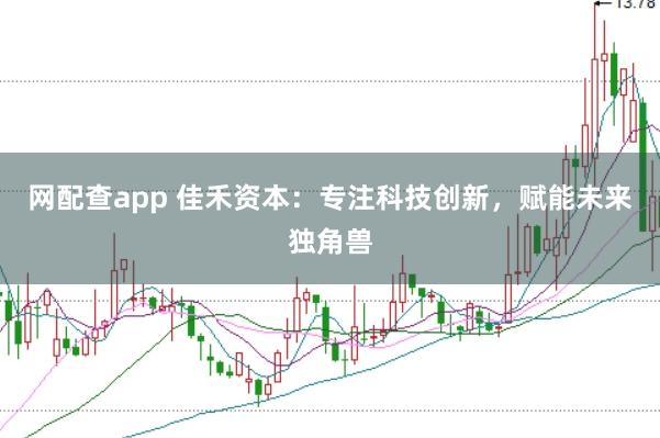 网配查app 佳禾资本：专注科技创新，赋能未来独角兽