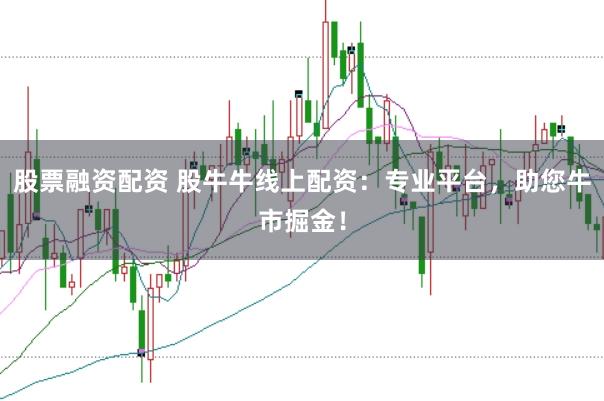 股票融资配资 股牛牛线上配资：专业平台，助您牛市掘金！