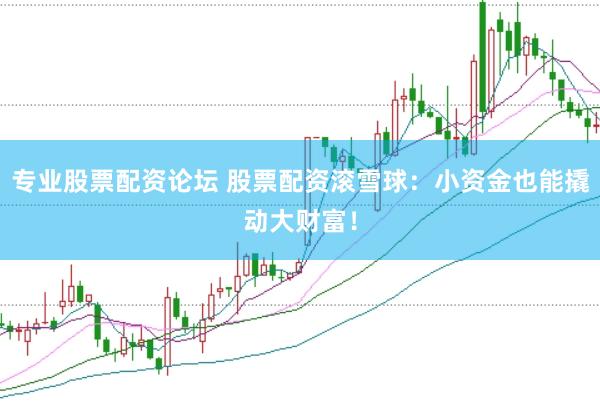 专业股票配资论坛 股票配资滚雪球：小资金也能撬动大财富！