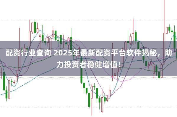 配资行业查询 2025年最新配资平台软件揭秘,助力投资者稳健增值!