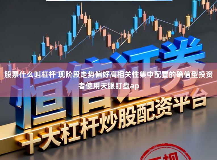 股票什么叫杠杆 现阶段走势偏好高相关性集中配置的确信型投资者使用天眼盯盘ap