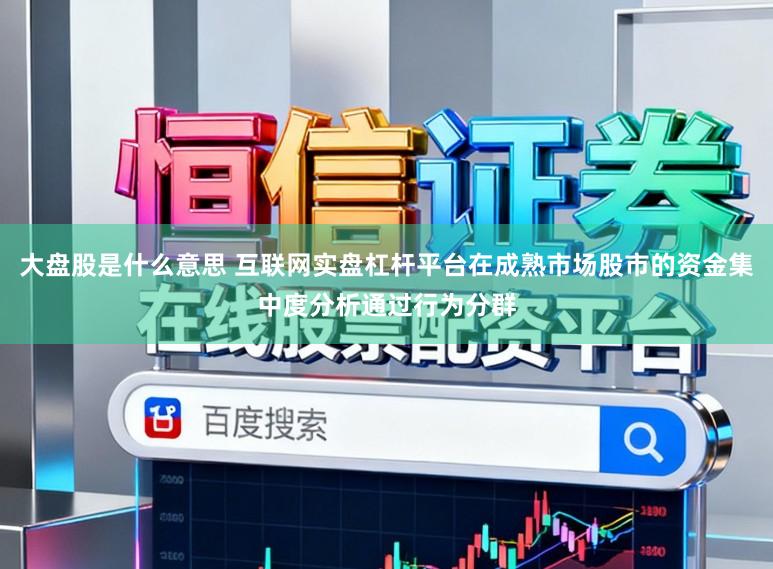 大盘股是什么意思 互联网实盘杠杆平台在成熟市场股市的资金集中度分析通过行为分群