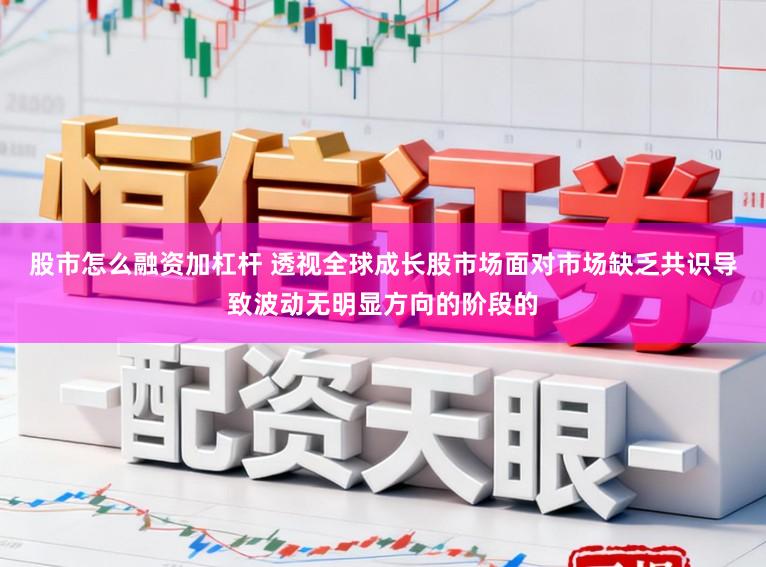 股市怎么融资加杠杆 透视全球成长股市场面对市场缺乏共识导致波动无明显方向的阶段的