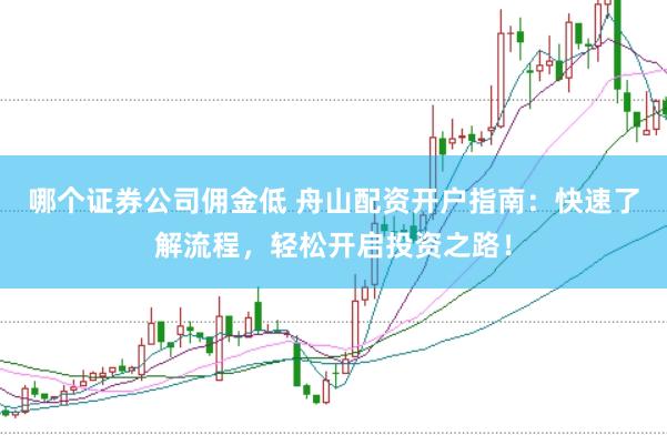 哪个证券公司佣金低 舟山配资开户指南：快速了解流程，轻松开启投资之路！